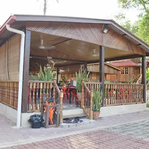 Hotel Borneo Tree House, Kota Kinabalu